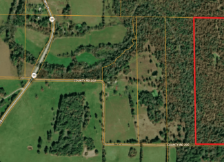 40 Acres of Hunting Land Near Mark Twain National Forest in Oregon County, Missouri